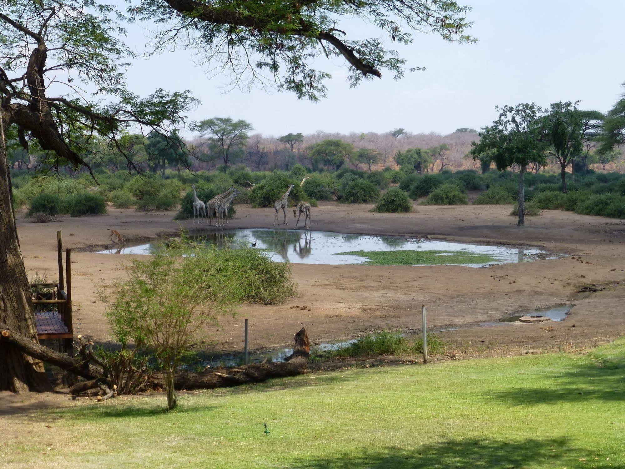 Elephant Valley Lodge Lesoma Exterior photo